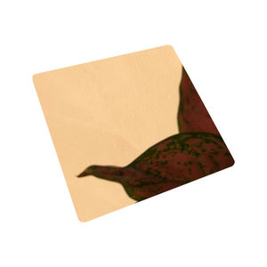 Stainless Steel Colored Decorative Sheets Plate Gold Plated 304 Grade 300 Series ASTM Standard 2B Surface Finish - Product Image 4