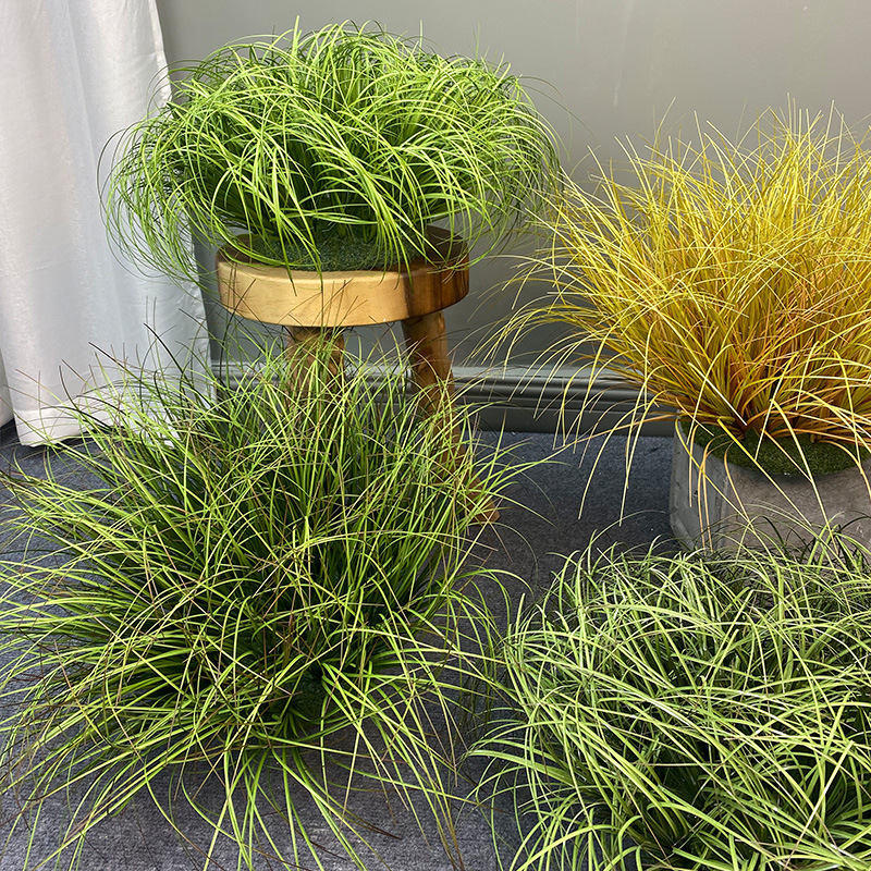 How to Choose Ground Plants: A Complete Buying Guide
