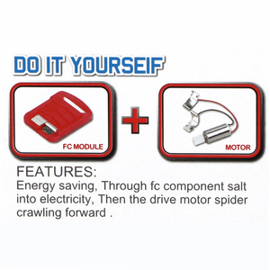 Nước muối <span class=keywords><strong>Spider</strong></span> đồ chơi trẻ em giáo dục satem thí nghiệm vật lý giảng dạy nước muối Powered ổ đĩa động cơ nhện <span class=keywords><strong>Robot</strong></span> đồ chơi - Product Image 2