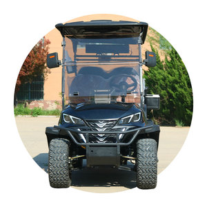 전기 리프트 골프 카트 2 4 6 8 좌석 4x4 가솔린 오프로드 클럽 자동차 판매 골드 컬러 사용자 정의 무료 디자인 저렴한 가격 - Product Image 1