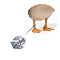 Mini-étiquette RFID NFC HF 13,56 MHz ISO18000-6C pour l'identification et la gestion des animaux, taille réglable, étanche, avec code QR, pour anneau de patte
