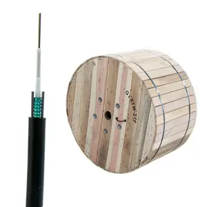 Free Samples Outdoor Armored 2-24cores Underground Duct Fiber Optical Cable GYXTW