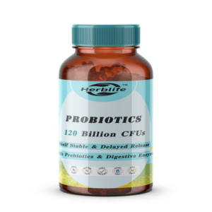 Vente Flash OEM - Personnalisable - Probiotiques 120 Milliards d'UFC, Prébiotiques et Enzymes Digestives pour Hommes et Femmes - Product Image 1