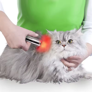 Personnalisé animaux blessures sportives réadaptation physiothérapie médicale <span class=keywords><strong>acupuncture</strong></span> stylo <span class=keywords><strong>laser</strong></span> souple pour soulager la douleur - Product Image 6