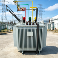 Transformateur immergé dans l'huile triphasé S11 800KVA, applications d'électrification industrielle et rurale, transformateur de puissance