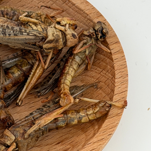 <span class=keywords><strong>Insectes</strong></span> <span class=keywords><strong>comestibles</strong></span> riches en protéines, sauterelles séchées, alimentation animale pour oiseaux et reptiles - Product Image 3