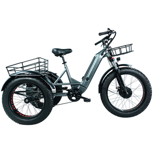 <span class=keywords><strong>2023</strong></span> nouveau modèle usine en gros <span class=keywords><strong>Cargo</strong></span> Ebike avec grand panier 3 roues <span class=keywords><strong>Cargo</strong></span> <span class=keywords><strong>Bike</strong></span> - Product Image 3