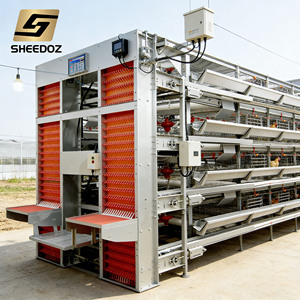 Gabbia Automatica per Allevamento Polli da Deposizione, Gabbie a Batteria Tipo H Zincate per Allevamento Avicolo, Gabbia per Allevamento Polli da Uova - Product Image 3