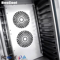 Congélateur à plaque à dégivrage automatique personnalisable BesCool (-35°C) ℃   à -80 ℃ Pour les usines et les usages industriels de transformation des aliments surgelés