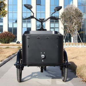 350W <span class=keywords><strong>électrique</strong></span> Cargo Trike <span class=keywords><strong>électrique</strong></span> Cargo <span class=keywords><strong>vélo</strong></span> E Bike Bakfiet <span class=keywords><strong>remorque</strong></span> E-cargo <span class=keywords><strong>vélo</strong></span> ouverture latérale <span class=keywords><strong>porte</strong></span> - Product Image 1