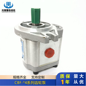 Pompe à engrenages CBF série F4 en alliage d'aluminium 20MPa pour distribution d'huile hydraulique, installation par bride, arbre vertical, entraînement électrique - Product Image 4