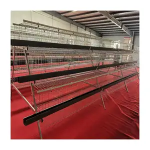 A type poultry farming 3 tiers cheap layer cage battery chicken price cages laying hens sell in algeria