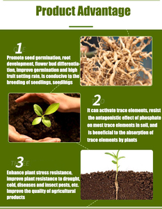 جودة عالية عالية حار بيع بسعر فعال من حيث التكلفة الأسمدة العضوية استخراج الأعشاب البحرية - Product Image 4