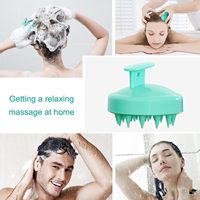 Brosse à Cheveux de Luxe Multi-Types, Brosse Shampoing en Silicone pour le Cuir Chevelu, Masseur Capillaire pour Cheveux Secs et Abîmés