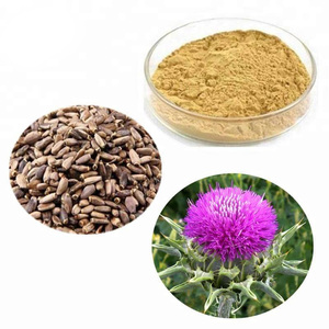 Nhãn Hiệu Riêng Thistle P.E./Sữa Thistle Chiết Xuất Hạt Giống Silymarin Bột 80% - Product Image 2