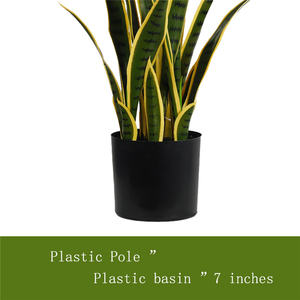 Árbol Bonsái de Agave Amarillo Verde, Suculenta <span class=keywords><strong>Lengua</strong></span> de la Madre de la <span class=keywords><strong>Suegra</strong></span>, Plantas Artificiales de Venta Caliente, Plantas Serpiente para Decoración del Hogar y Oficina - Product Image 6