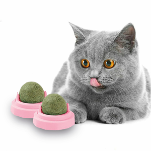Balle multifonctionnelle rotative pour le nettoyage des dents molaires, à la menthe et à la catnip, jouet pour chat en forme d'avocat - Product Image 1