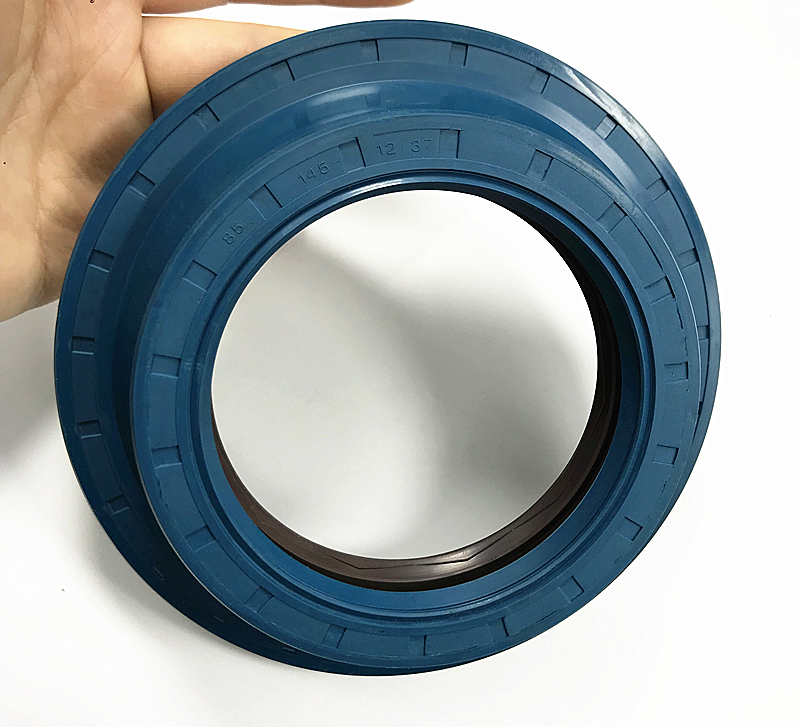 ルナ　0210 85x145x12/37 Differential Oil Seal 0219975947 for Trucks