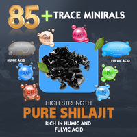 Résine de Shilajit de l'Himalaya OEM ODM Marque Privée Vente en Gros Acide Fulvique Oligo-éléments Complément Naturel de Bien-être