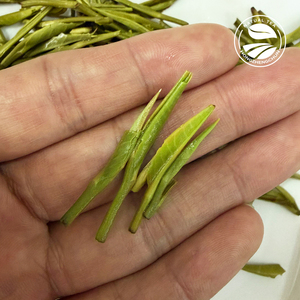 Clqq 5482 Bolsitas de Té Verde Chino Puro 40g Envueltas Individualmente Té Halal <span class=keywords><strong>Kife</strong></span> para Reuniones en el Medio Oriente - Product Image 4