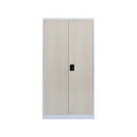 Armoire de rangement pour documents en acier, 2 portes battantes, pour bureau, entrepôt, école