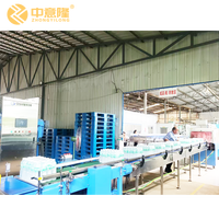 Complete turnkey productielijn voor flessenwater (2000-36000BPH), inclusief PET blaasvormen, 3-in-1 afvullen, etiketteren, verpakken en palletiseren.