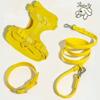 Luxury Dog Collar and Leash, Durable, Silicone, PVC, TPU
