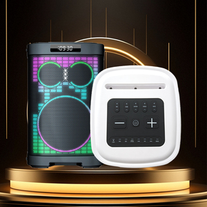 Big Party Box Altavoz <span class=keywords><strong>Subwoofer</strong></span> de 8 pulgadas LED Dj al aire libre Potente Blue Tooth 120W Altavoces de fiesta con micrófono inalámbrico - Product Image 5