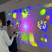Mur de tir virtuel ultra-réactif en plastique pour intérieur, 60 images par seconde, avec kit de jeu de tir interactif à infrarouge pour pistolets jouets (13 éléments majeurs)