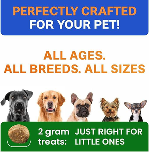 Compléments alimentaires pour chiens OEM Gut Health Probiotics, enzymes digestives, multivitamines, friandises molles, vert herbe, économiseur de taches d'urine, sûr et rapide - Product Image 5