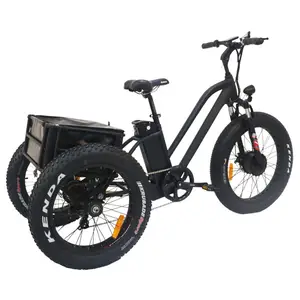 Food trailer solar panel smart enclosed electric tricycle bicycle fat tyre electric recumbent trike adults 3 wheel electric bike