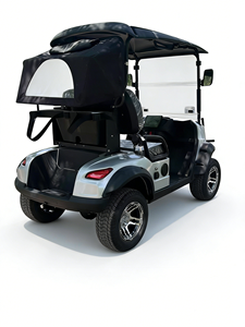 Voiturette de golf 2 places avec pare-chocs avant et cadre de protection en fer, support de sac de golf en option et housse de sac imperméable - Product Image 4