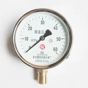 Manómetro de cápsula, medidor de presión de fuelle, micro YE100-60KPA