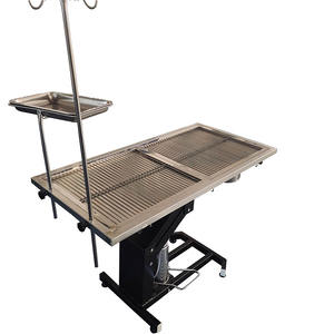 Mesa <span class=keywords><strong>Veterinaria</strong></span> Hidráulica de Grado Clínico, Compacta, con Barandas Laterales de Seguridad y Bandeja Utilitaria - Product Image 1