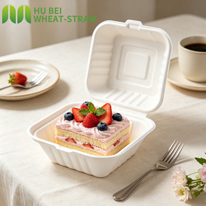 Kotak <span class=keywords><strong>Burger</strong></span> Sekali Pakai dari Bagasse Komposabel Langsung dari Pabrik, Ukuran 6*6 Inci, Bebas PFAS - Product Image 1