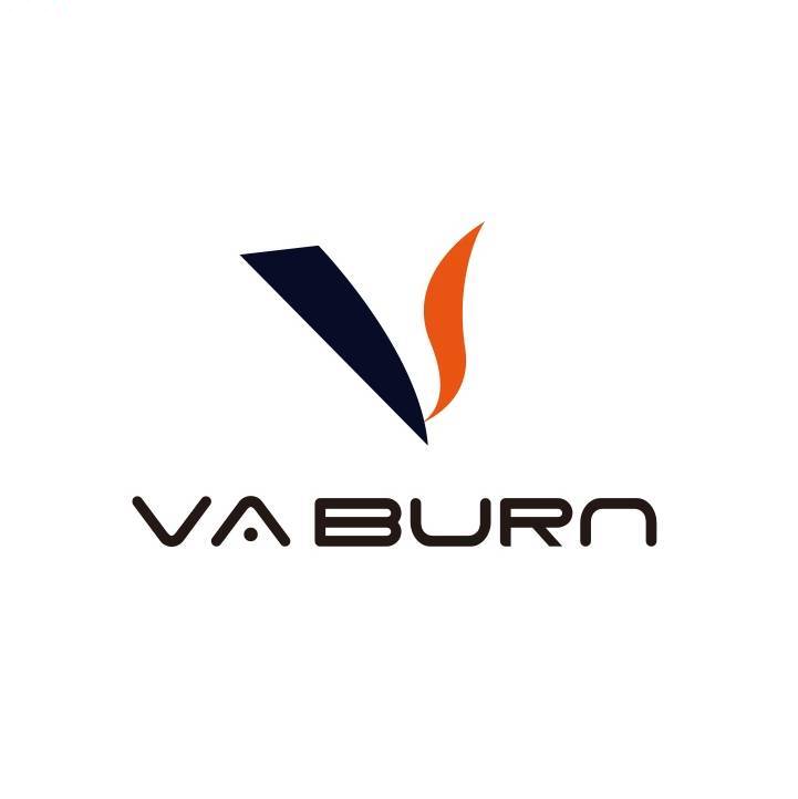 Shenzhen Vaburn Technology CO., LTD. logo
