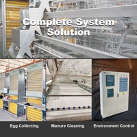 Système de cages automatiques pour poules pondeuses de type A, cages en batterie galvanisées à chaud avec système de collecte des œufs pour les fermes avicoles du Mexique