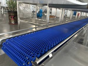 Convoyeur courbé pour la transformation de la viande destiné aux abattoirs, manipulation du porc et du bœuf - Product Image 5