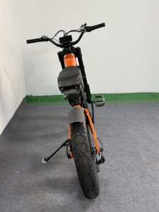 Adult Bike Hot Selling 7 Speed Magnesium Frame Lithium Hydraulic <b>LED</b> Light 20 Rear Hub Motor - Product Image 3