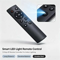 Control Remoto Inteligente con Luz LED e Infrarrojos JCXK de 12 Teclas, Plástico ABS, OEM, ODM, Personalizado