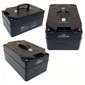 Manufacturer Directly Supplied <b>48V</b> 30Ah LiFePO4 <b>Battery</b> Pack with 4000 Cycles for E-Tricycles - Product Image 6