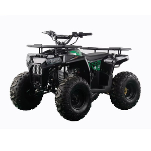 High Performance 110cc 125cc All-terrain Vehicle Gas ATV 4 Stroke Motorcycle Off Road Quad Bike for Adult