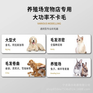 Cortadora de Pelo Eléctrica Recargable para Mascotas, Kit de Aseo para Perros, Set Estándar - Product Image 4