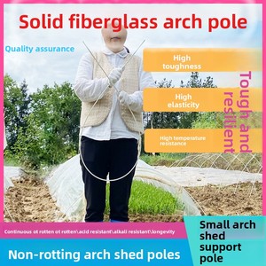 Arches de soutien modernes en plastique pour serres, pour la culture de légumes, petites arches de jardin, isolation élastique, fibre de verre solide, usage agricole - Product Image 3
