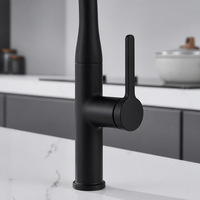 Robinet de cuisine moderne noir mat avec douchette extractible, mitigeur chaud/froid à poignée unique, anti-éclaboussures pour évier de cuisine et maison