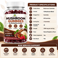 Gummies aux champignons de marque privée : Complément vitaminique à base d'extrait de Super Champignons, Gummies Crinière de Lion