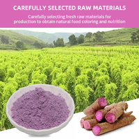 Poudre d'Ube en Gros : Poudre d'Ube Pure, Matcha Violet, 100% Naturelle, pour Latte, en Vrac