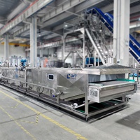 Ligne de transformation continue de fruits et légumes entiers de 500 kg/h avec système de refroidissement, trancheuse motorisée en acier inoxydable