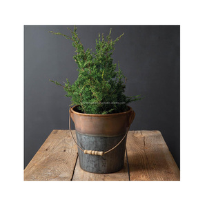Iron Indoor Multi Color <b>Flower</b> Pots Fancy Design Decoration Home Garden Decoration Planter for Best Bucket - Product Image 3