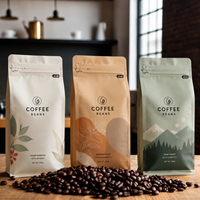 Sachet personnalisé en gros avec valve de dégazage, impression hélio, sachet à café haute barrière avec doublure en aluminium pour torréfacteurs